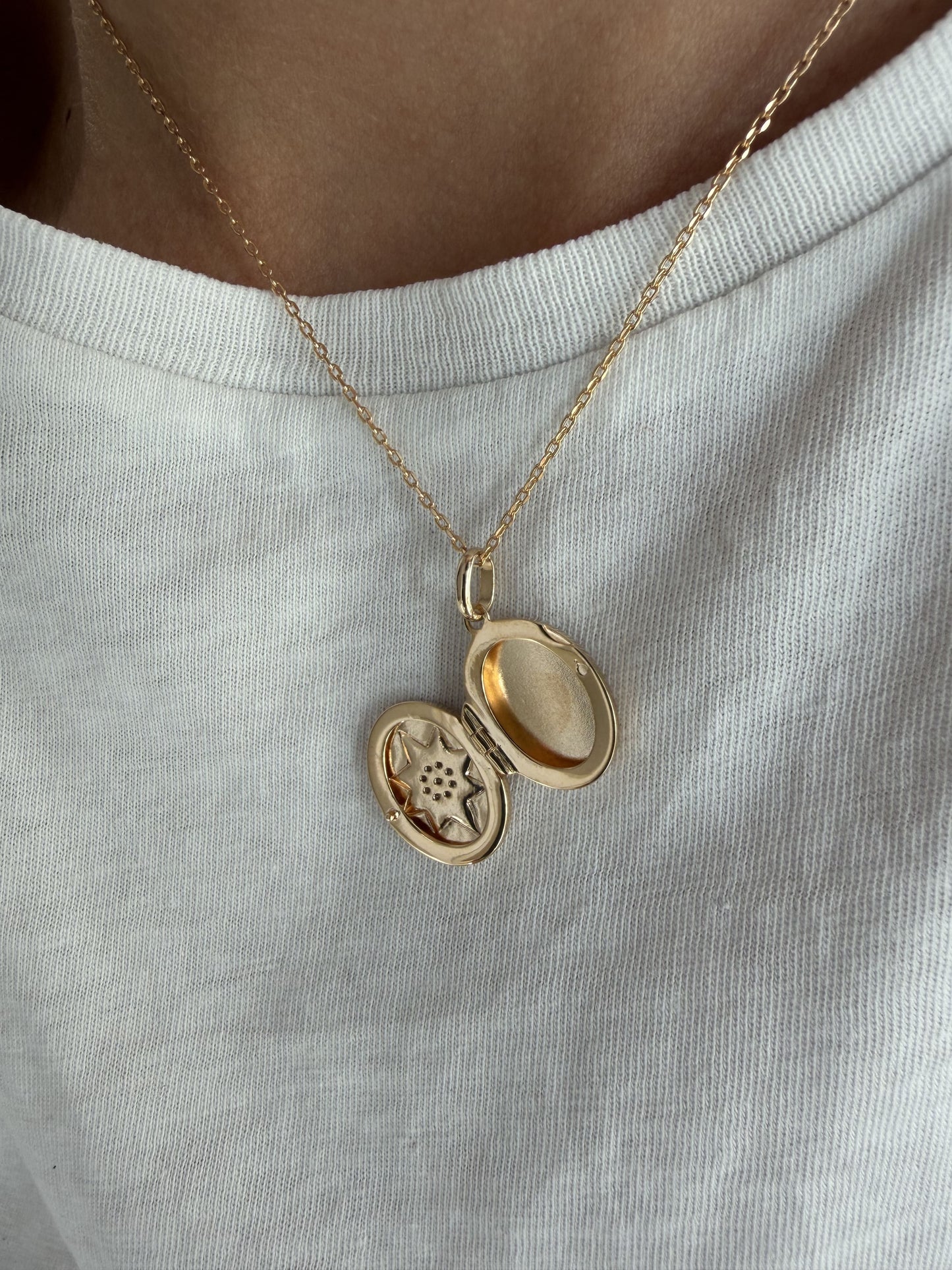 Collar Medallón Relicario con Circonitas con Baño de Oro