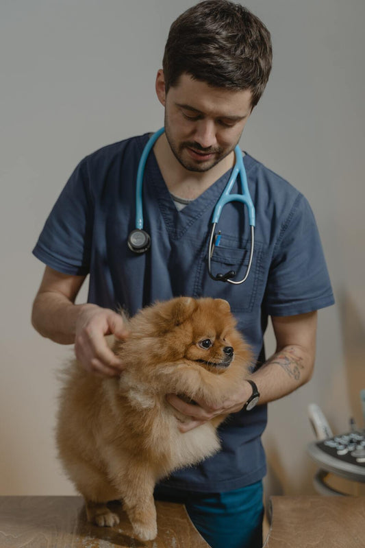 Regalos para veterinarios