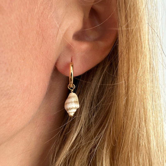 Pendientes Arito con Baño de Oro y Caracola colgante