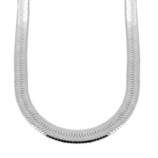 Collar con Cadena Plana de Plata